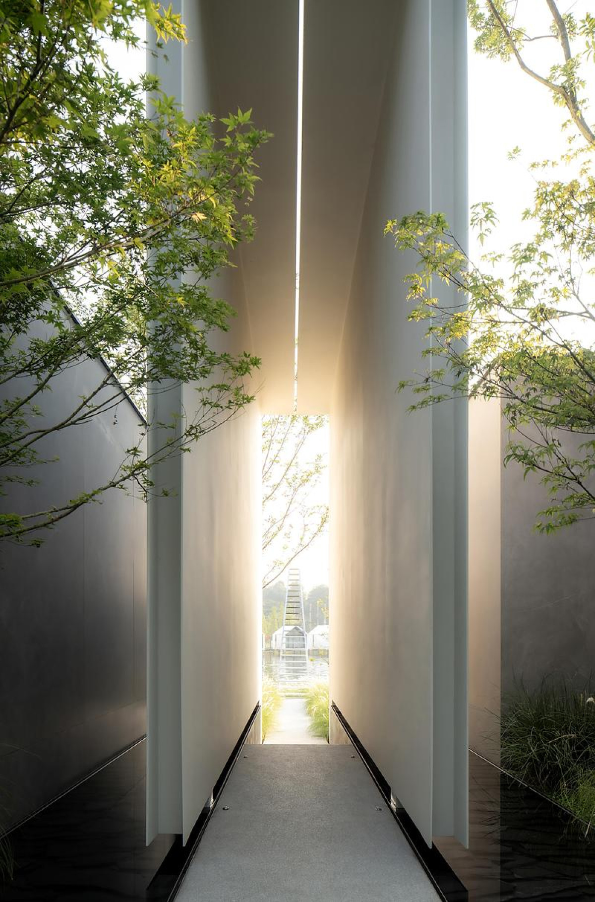 Photo credit: PrismImage