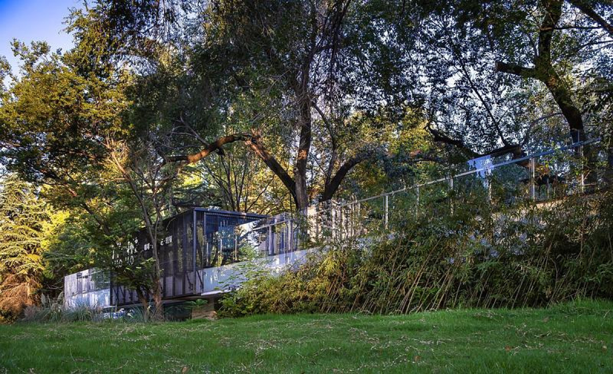 Photo credit: Wei Zhao