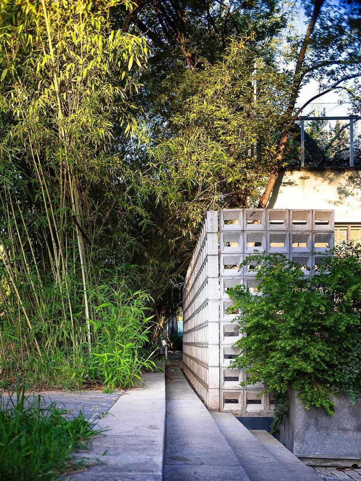 Photo credit: Wei Zhao