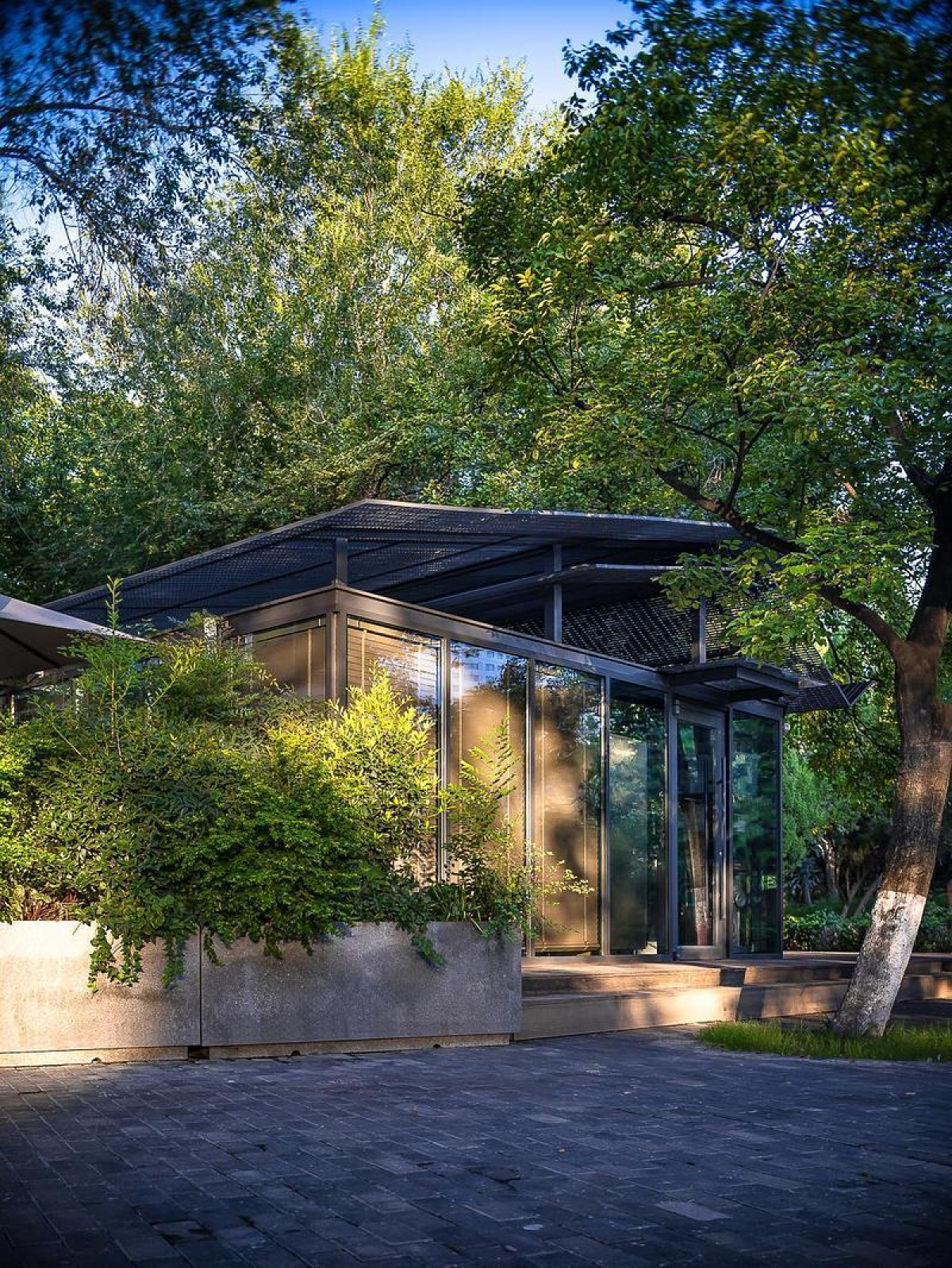 Photo credit: Wei Zhao