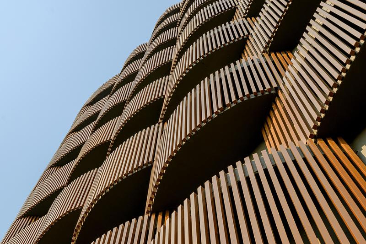 Photo credit: Vinay Panjwani