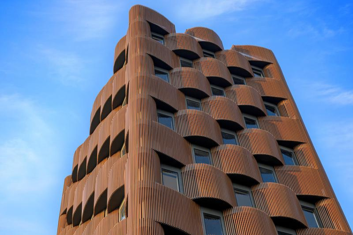 Photo credit: Vinay Panjwani