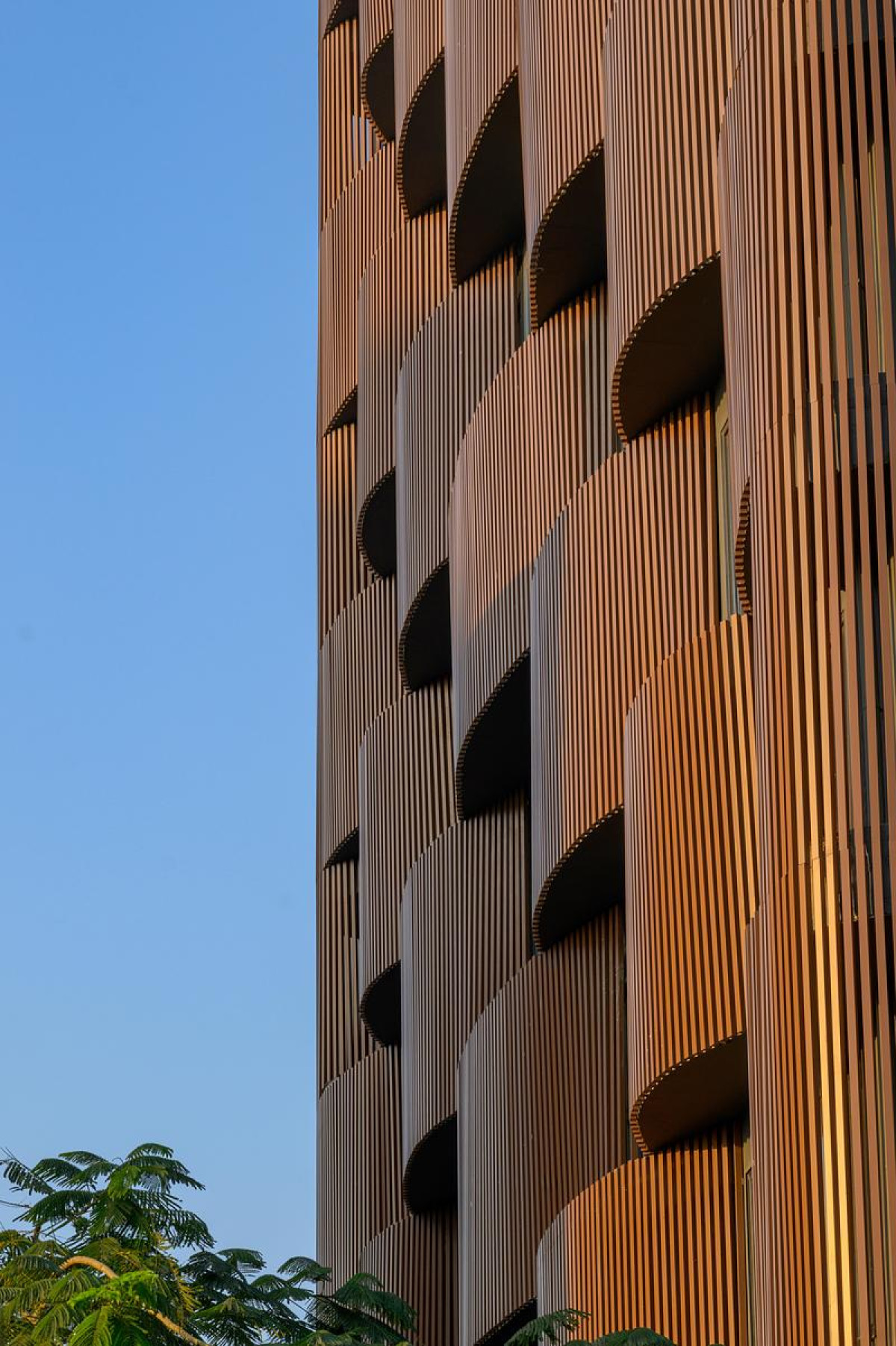 Photo credit: Vinay Panjwani